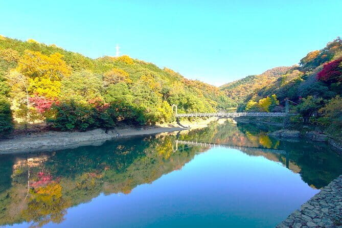 Slow Cycling Tour at Uji's Matcha Green Tea Fields and Heritage - Overall Impressions and Who Will Love This Tour