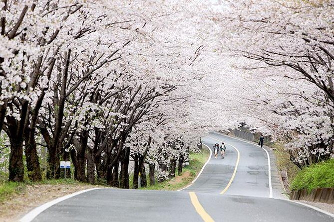 Small Group 7D Korea package Tour with Seoul Gyeongju Busan Jeju - FAQ