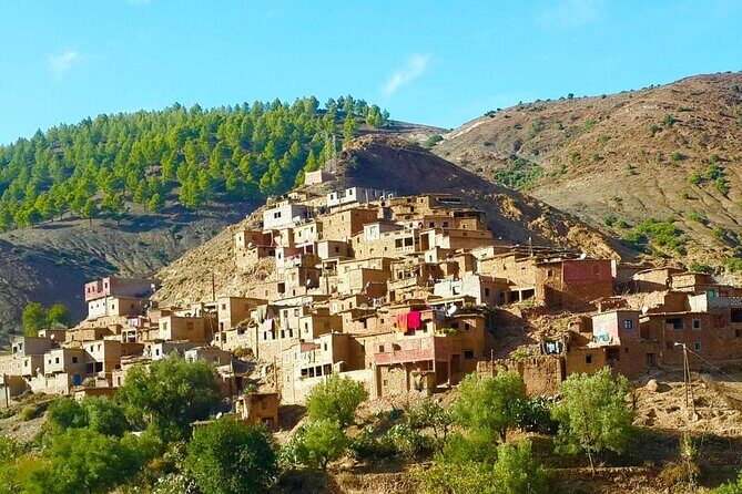 Small Group Day Trip to Ourika Valley & Atlas Mountains - What Travelers Love