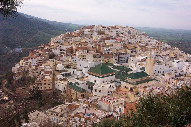 Small Group: From Fez to Volubilis -Mouly Idriss and Meknes day trip - Authentic Experiences and Practical Tips