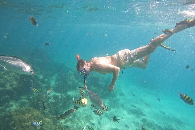Small Group Phi Phi Islands Sunrise Tour with Seaview Lunch - The Itinerary: A Closer Look