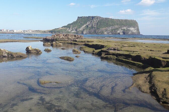 Small group Private Taxi Tour DAY experience in Jeju island - Frequently Asked Questions
