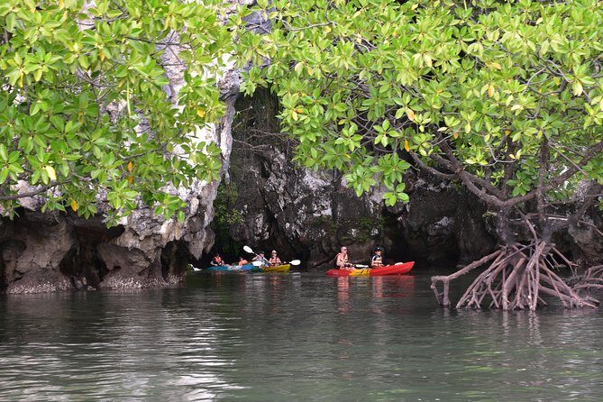 Small-Group Sea Kayaking in Ao Thalane Bay and Hong Island from Krabi - In-Depth Breakdown of the Itinerary