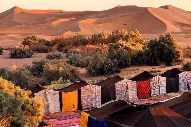 Small Group Tour 3 Days Sahara Desert from Marrakech - Who Will Love This Tour?