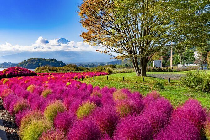 Small Group Tour Mount Fuji and Lake Kawaguchi from Tokyo - A Deep Dive into the Experience