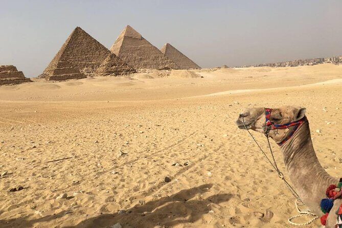 small group trip to Cairo from Hurghada - What Travelers Say