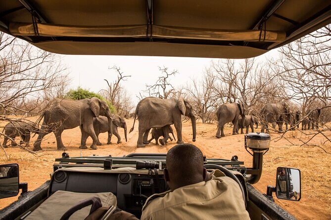 Small Group: Zambezi National Park Guided Game Drive - Final Thoughts