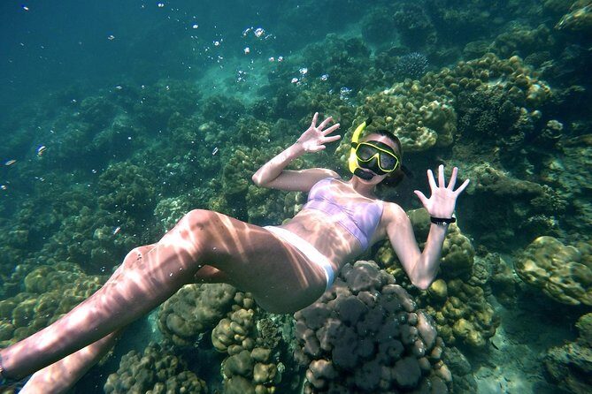 Small Groups of 20 people - Phi Phi & Bamboo Islands with Lunch - The Experience: What Travelers Say