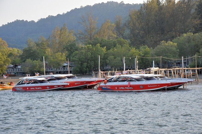 Snorkel Tour to Phi Phi Islands by Speed Boat from Koh Lanta - Who Will Love This Tour?