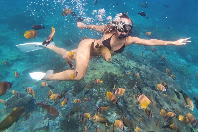 Snorkeling 4 Spot With Manta Bay Or Optional Land Trip - Including Photos and Videos