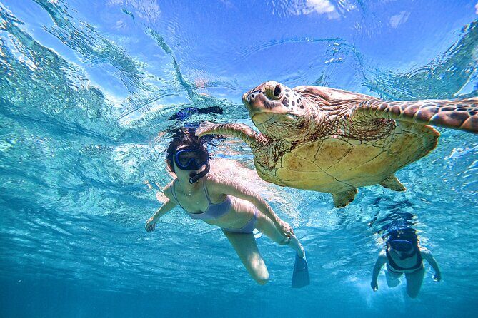 Snorkeling Activity in Okinawa Miyako Japan - What Makes It Special