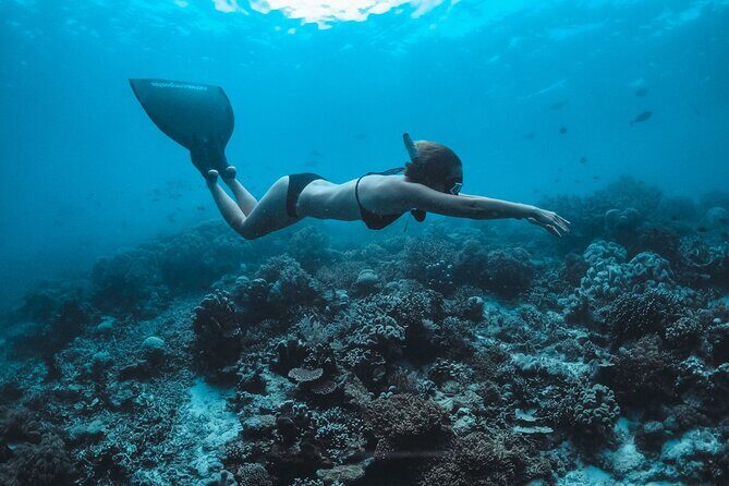 Snorkeling and Freediving Trip around Nusa Penida - Authentic Marine Encounters: What Travelers Say