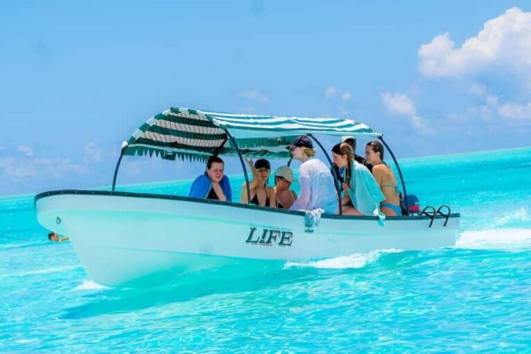 Snorkeling and swimming with dolphins at mnemba island - The Sum Up