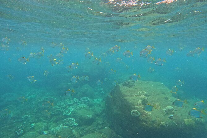 Snorkeling at Angel Rock - What to Expect from the Tour