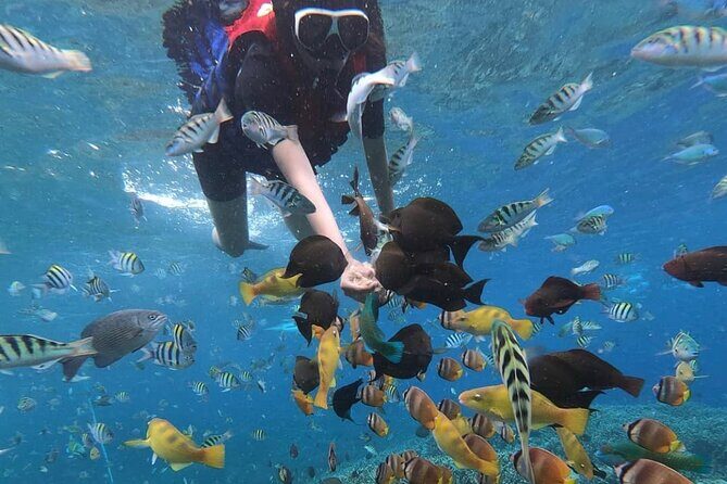 Snorkeling At Blue lagoon And Hidden waterfall - Practical Details and Experience Quality