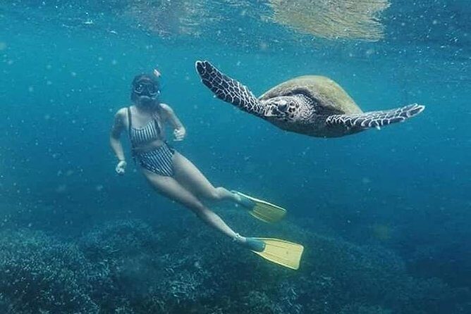 Snorkeling at Pigeon Island - The Itinerary: What to Expect During the Trip