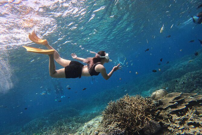 Snorkeling Day Trip to Nusa Lembongan and Nusa Penida - The Value of This Tour