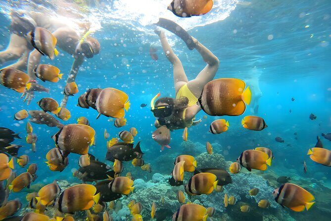 Snorkeling In Nusa Penida Departing From Bali Island - What’s Included and What’s Not?