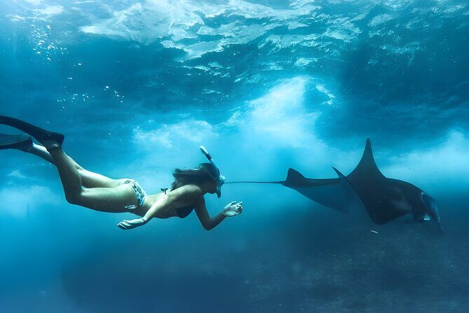 Snorkeling In Nusa Penida Island With Manta Ray From Bali - Why Choose This Tour?