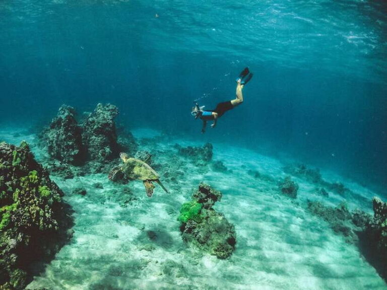Snorkeling in Unawatuna - What’s Included & What’s Not