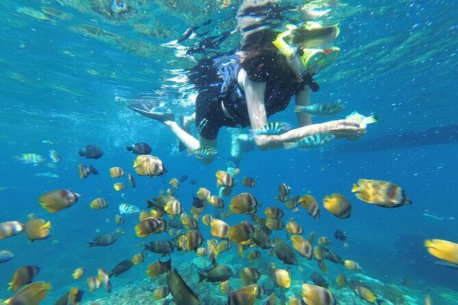 Snorkeling Manta Bay And West Penida Private Guided Tour - Key Points: What Makes This Tour Stand Out