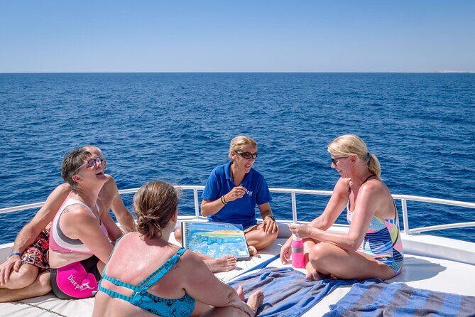 Snorkeling on Ras Mohamed and White Island in Sharm El Sheikh - The Value for Your Money