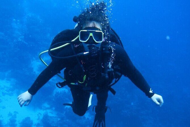 Snorkeling: Ras Mohamed & White Island With Lunch And Drinks - The Marine Environment