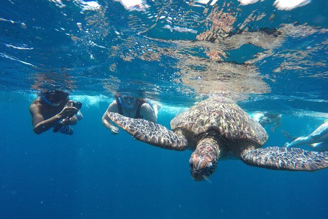Snorkeling Tour In Gili Islands Pick Up From Lombok Or Gili - Final Thoughts on Value and Experience