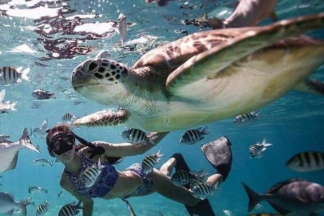 Snorkeling Tour In Gili Trawangan, Gili Meno And Gili Air Pick Up From Bali - The Itinerary: What to Expect at Each Stop