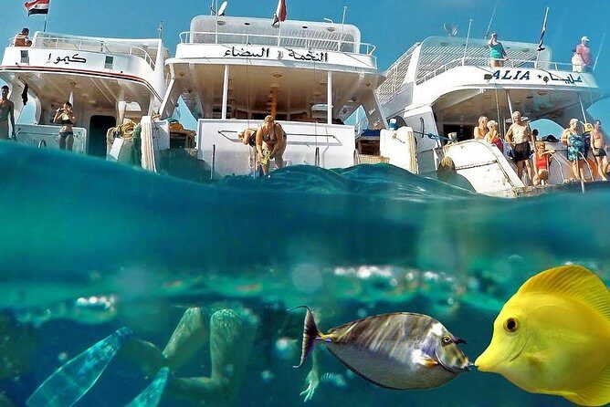 Snorkeling Trip at Hamata Islands From Marsa Alam - What Makes This Snorkeling Trip Stand Out?