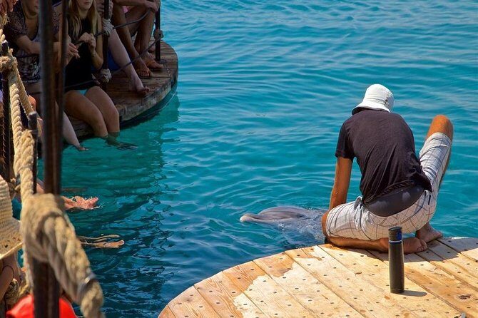 Snorkeling Trip At Satayh Dolphin Reef - The Practical Details