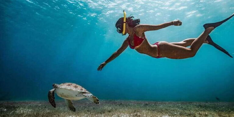 Snorkeling Trip from Polhena Beach, Matara, Sri Lanka - Detailed Breakdown of the Itinerary