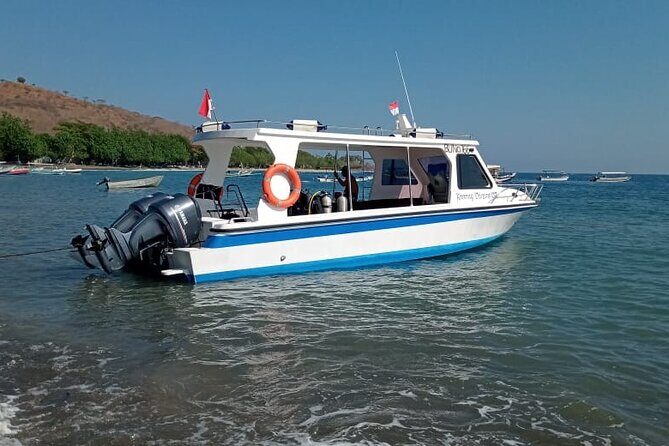 Snorkeling Trip to Menjangan Island - The Value for Money