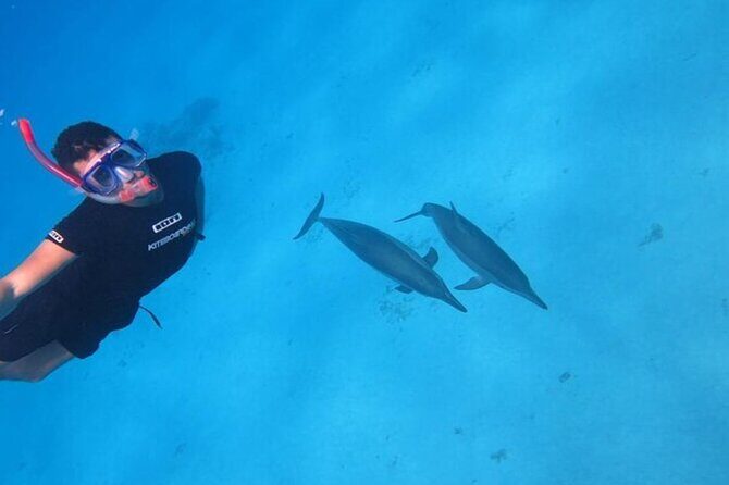 Snorkeling with Dolphins & Lunch In Sataya Reefs From Marsa Alam - Detailed Review of the Sataya Reef Snorkeling Tour