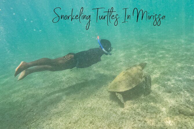 Snorkeling with Turtles in Mirissa - Weather & Conditions