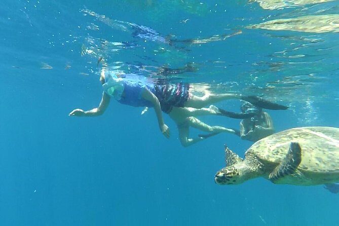 Snorkeling with Turtles on Gili Trawangan - Why This Tour Excels: The Authentic Touches