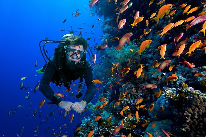 Snorkelling Adventure in Sharm El Luli Beach in Marsa Alam - Authentic Experiences and Real Reviews