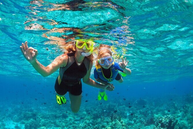 Snorkelling Adventure with Dugongs and Turtles in Marsa Mubarak - Who Will Love This Tour?