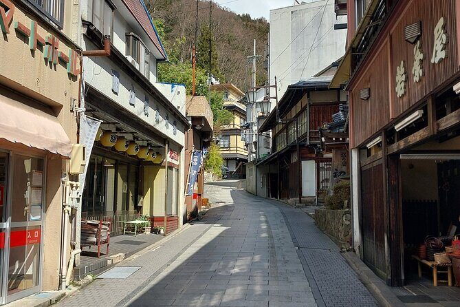 Snow Monkey Park, Soba Lunch and Shibu Onsen Tour - Transport and Group Size