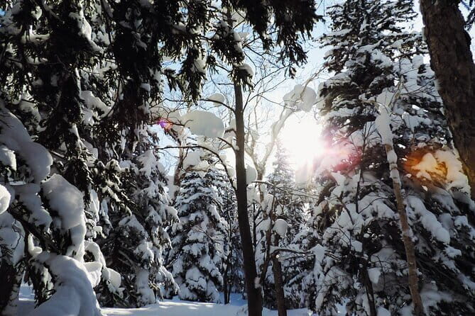 Snowshoe Adventures and Onsen Bliss Winter Escape in Furano - Practicalities and Value