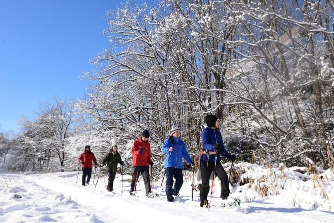 Snowshoe Hike Tour from Sapporo - An In-Depth Look at the Snowshoe Hike Tour