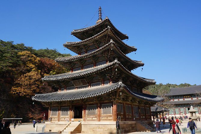 Songnisan National Park & Beopjusa Temple UNESCO site Private Tour - What Sets This Tour Apart?