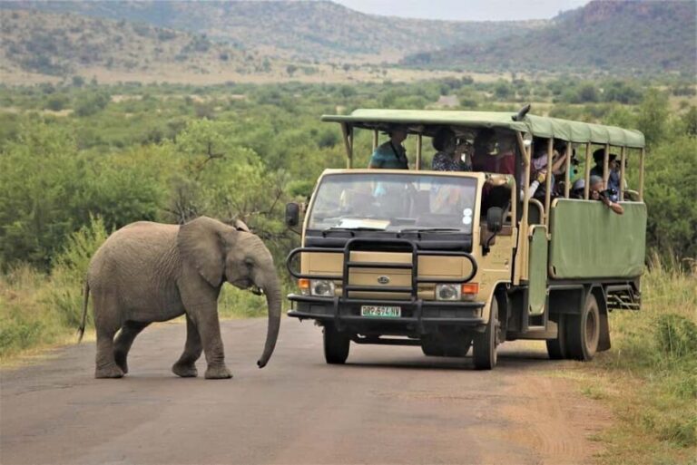South Africa from Joburg: Elephant Sanctuary Half Day Tour - Final Thoughts