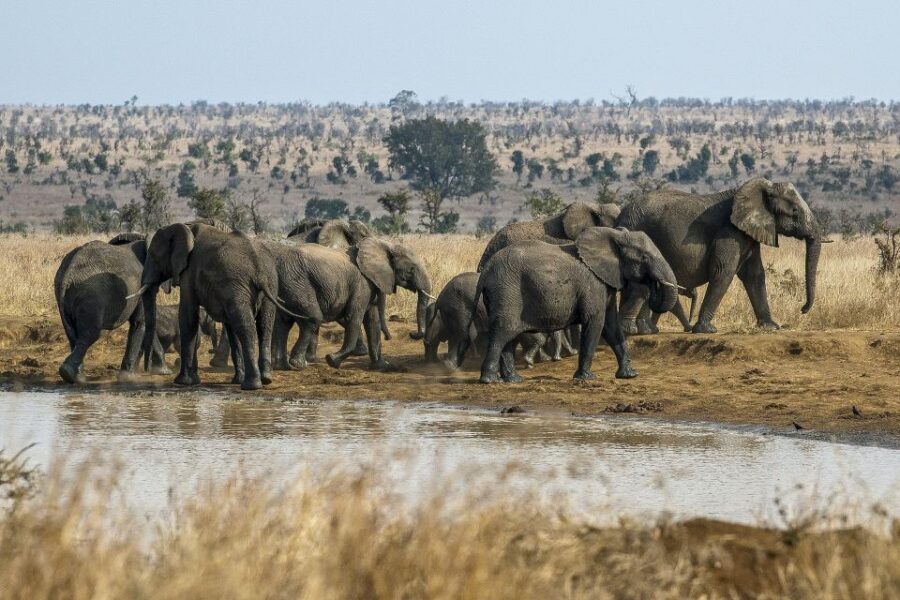 South Africa to Victoria Falls 12 Day Adventure - Key Points