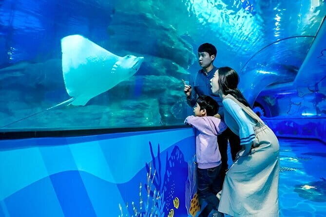 South Korea a Sea Life Busan - The Sum Up