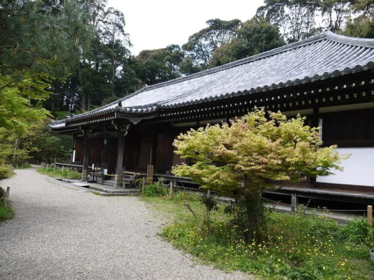Southern Kyoto: Journey to Jruri-ji & Its Pure Land Garden - The Experience: What You’ll Feel and See