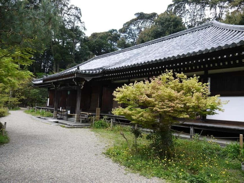 Southern Kyoto: Journey to Jruri-ji & Its Pure Land Garden - The Experience: What You’ll Feel and See