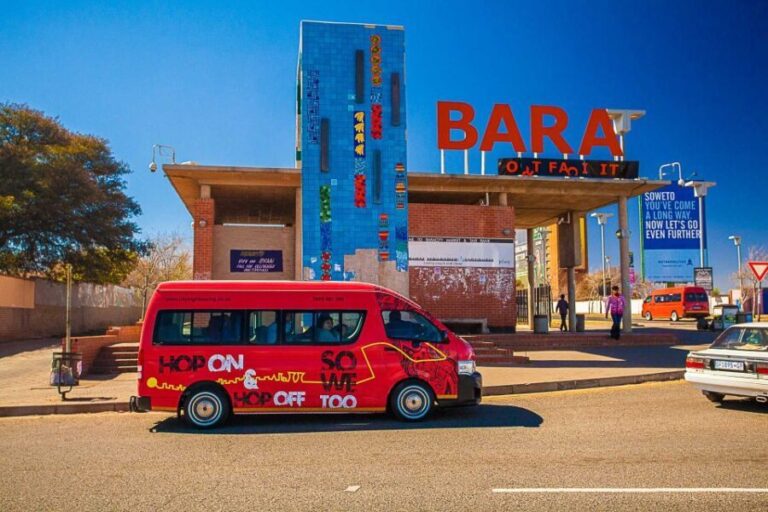 Soweto: Hop-On Hop-Off Bus, City Tour and Apartheid Museum - Who Would Enjoy This Tour?