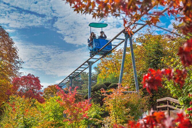 Special Private Tour Nami Island, Rail Bike, Petite France - Practical Details