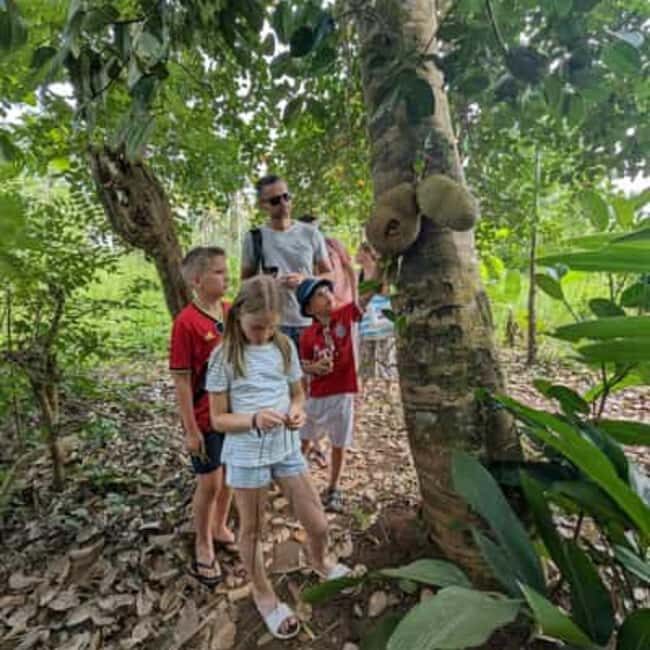 Spice Farm, Stone Town, Prison Island & Nakupenda sand bank - Detailed Breakdown of the Itinerary